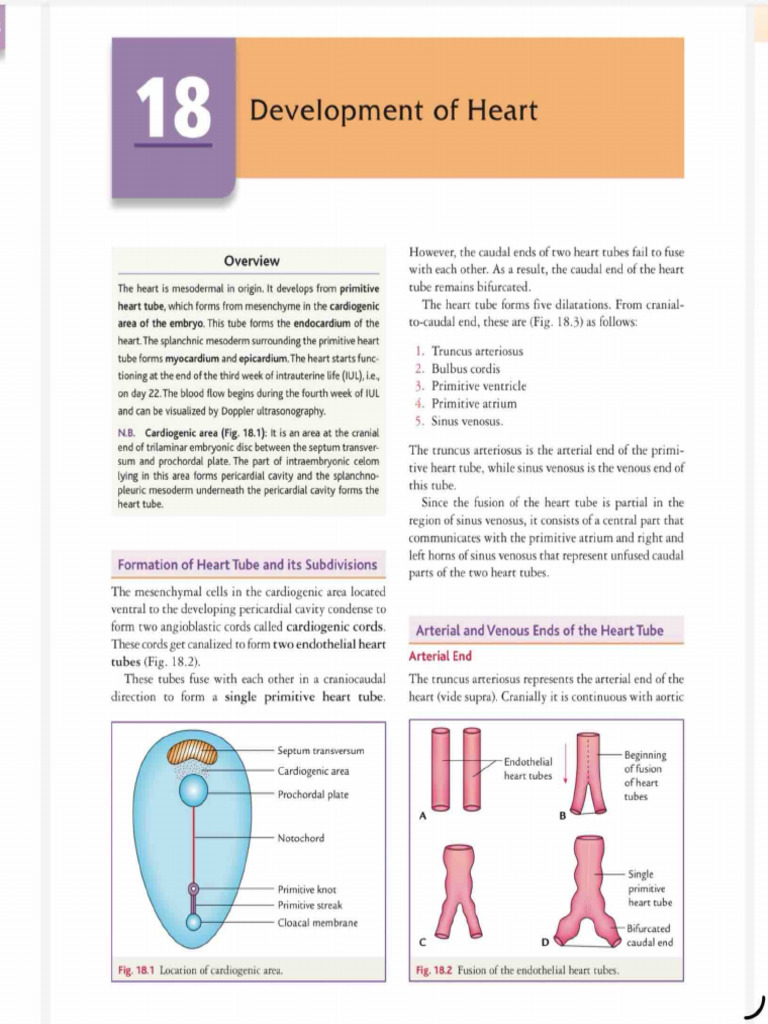 CVS System | PDF