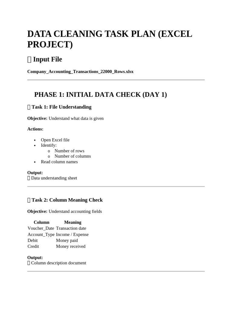 Data Cleaning Task Plan | PDF | Debits And Credits | Microsoft Excel