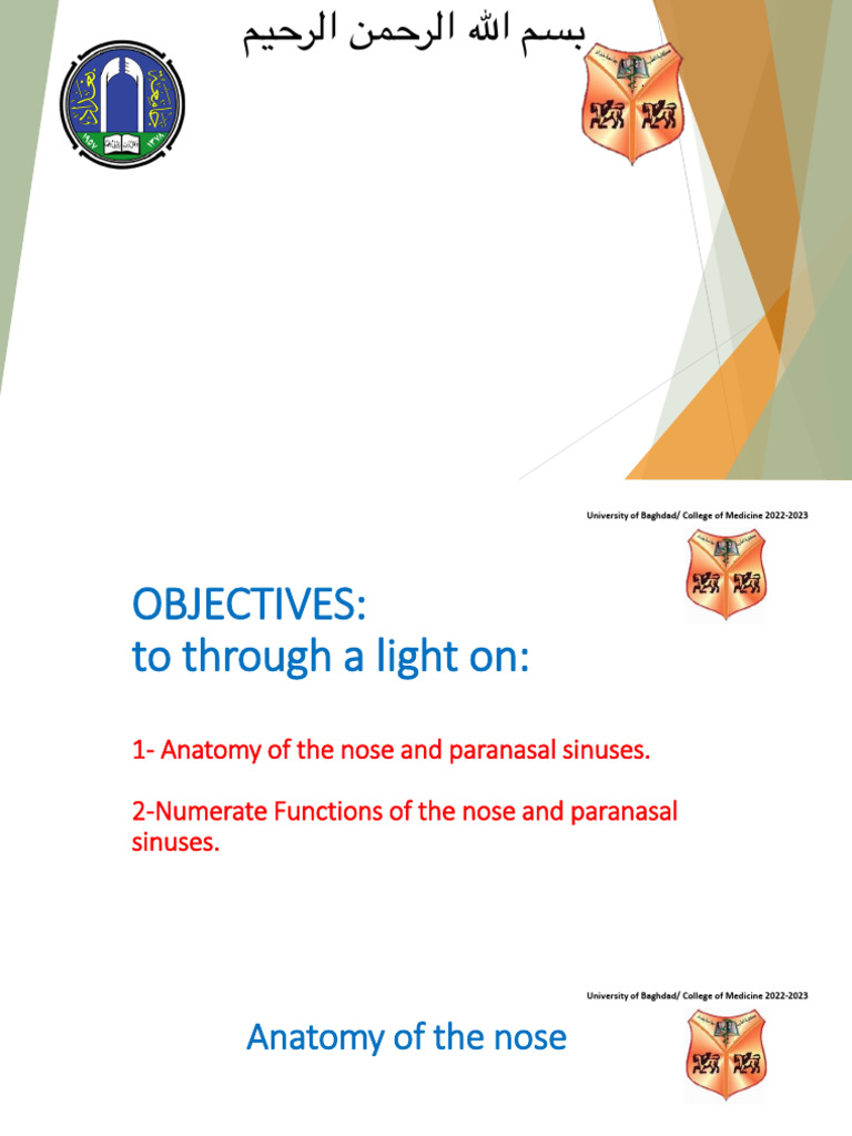 Anatomy and Functions of The Nose and Paranasal Sinuses | PDF | Human ...
