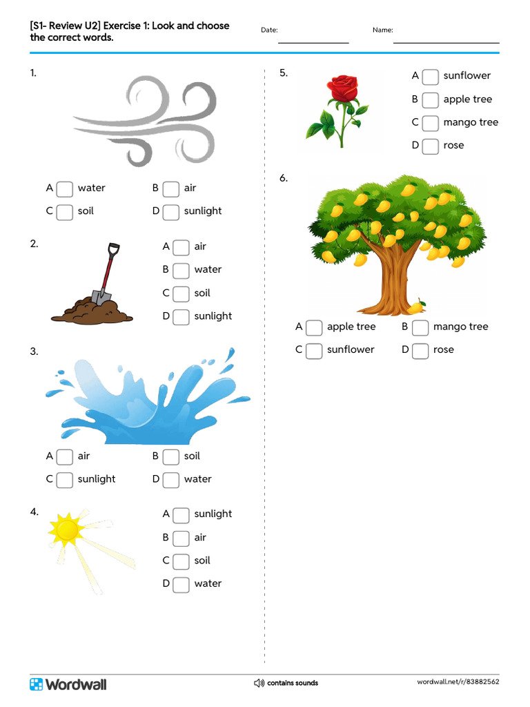 s1 Review U2 Exercise 1 Look and Choose The Correct Words Quiz | PDF
