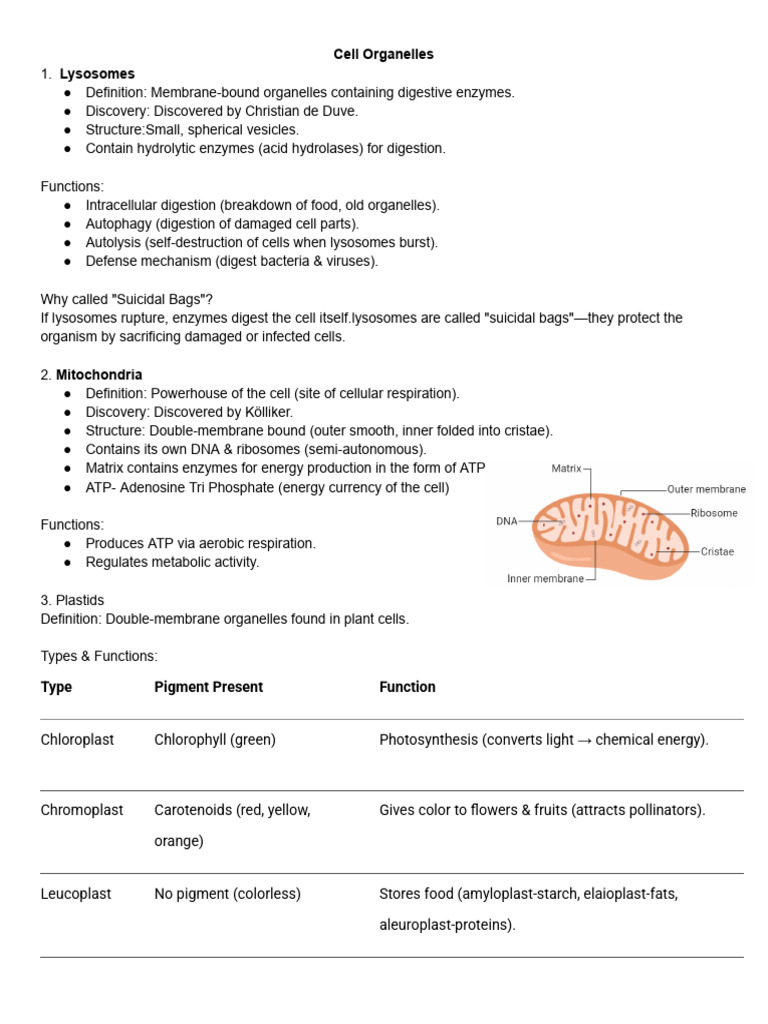 Important Points On Bio | PDF | Tissue (Biology) | Mixture