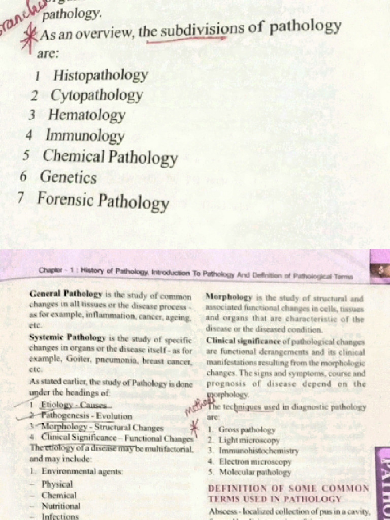 Pathology Notes | PDF