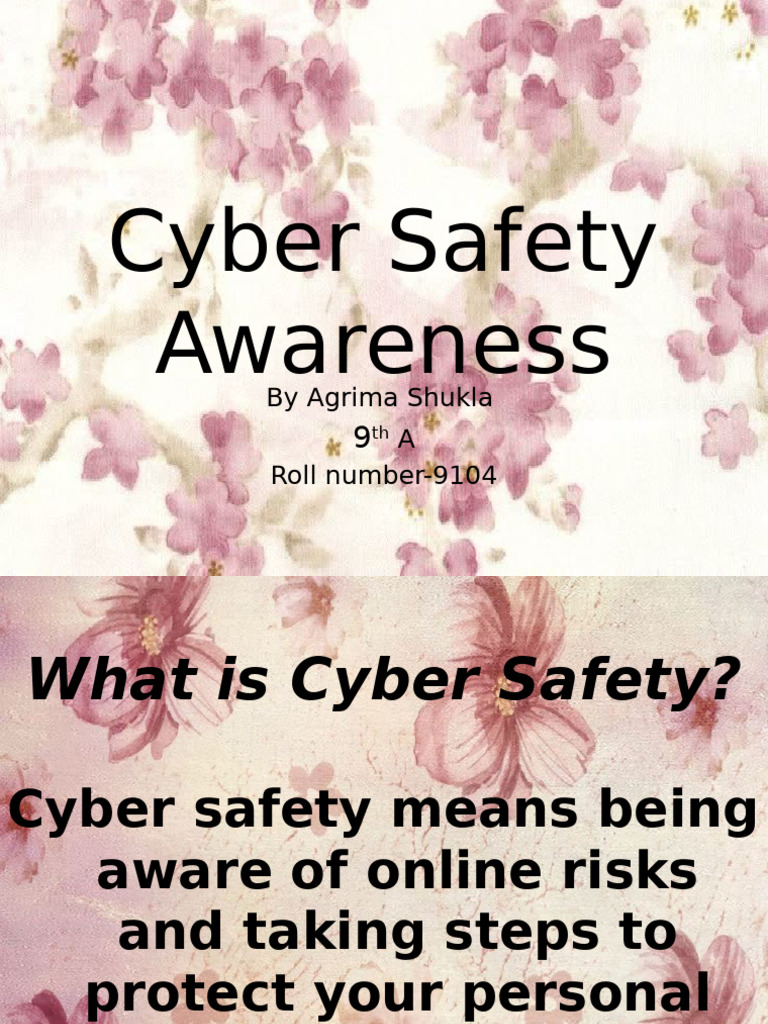 Cyber Safety Awareness | PDF