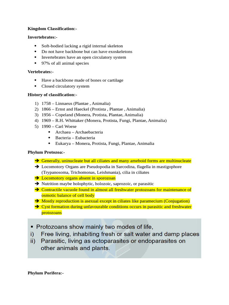 Kingdom Classification - Animal Sciences | PDF | Sponge | Protozoa
