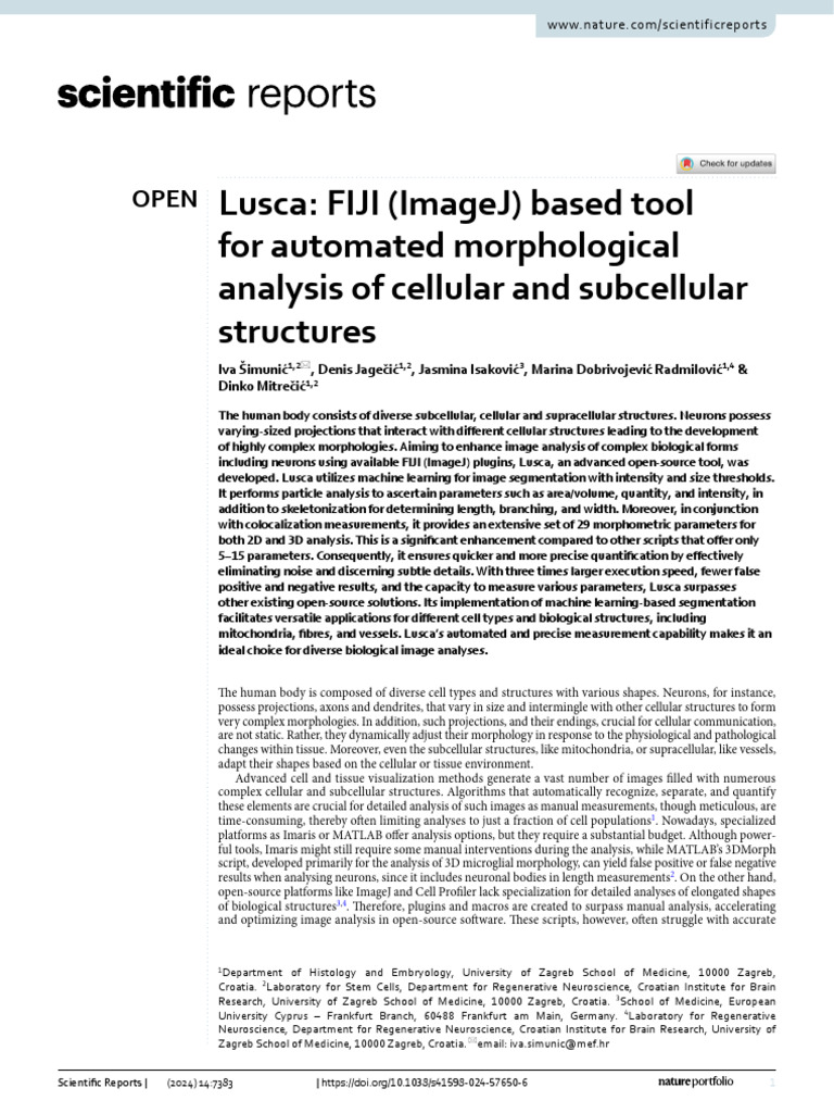 Lusca: Fiji (Imagej) Based Tool For Automated Morphological Analysis of ...