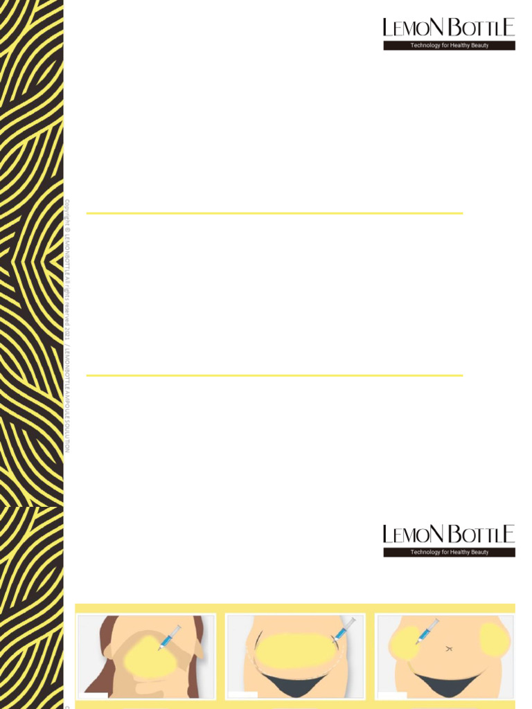 lemon bottle fat dissolving instructions pdf Lemon Bottle Protocol | PDF