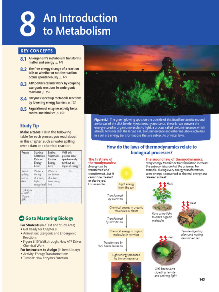 Week 3-Bioenergetics, Enzymes and Metabolism | PDF | Metabolic Pathway ...