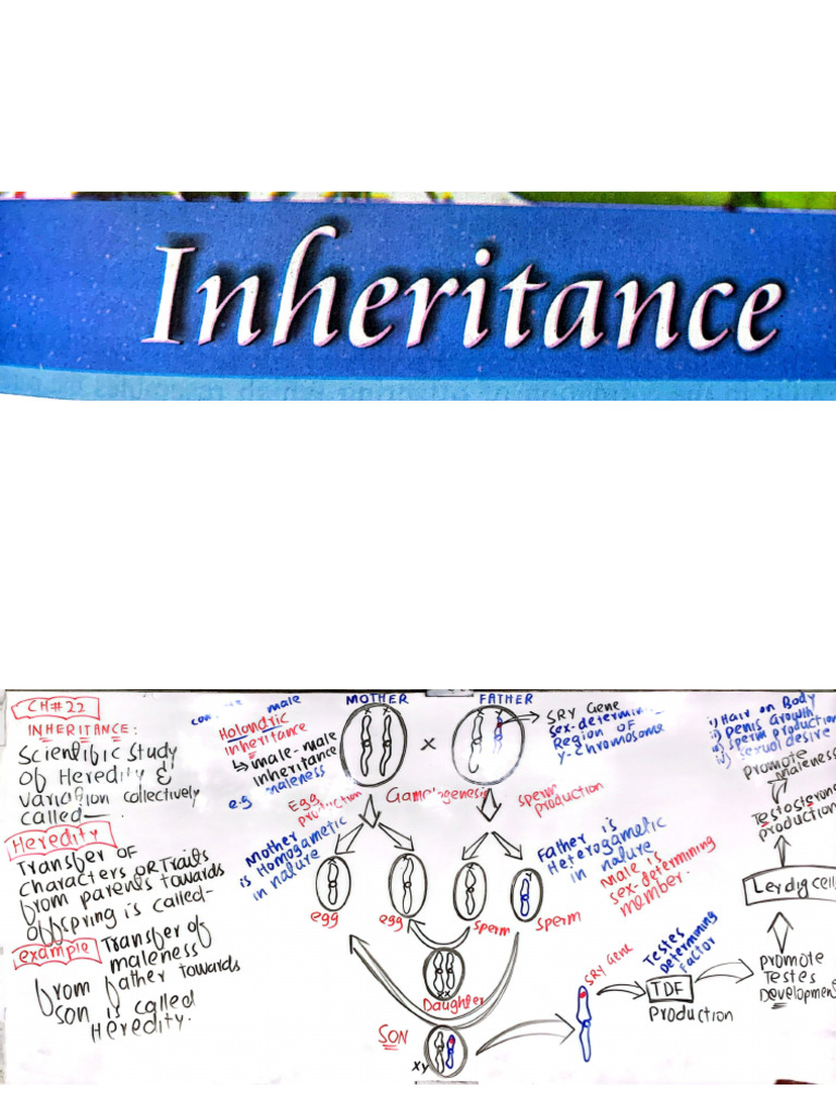 Inheritances. by 