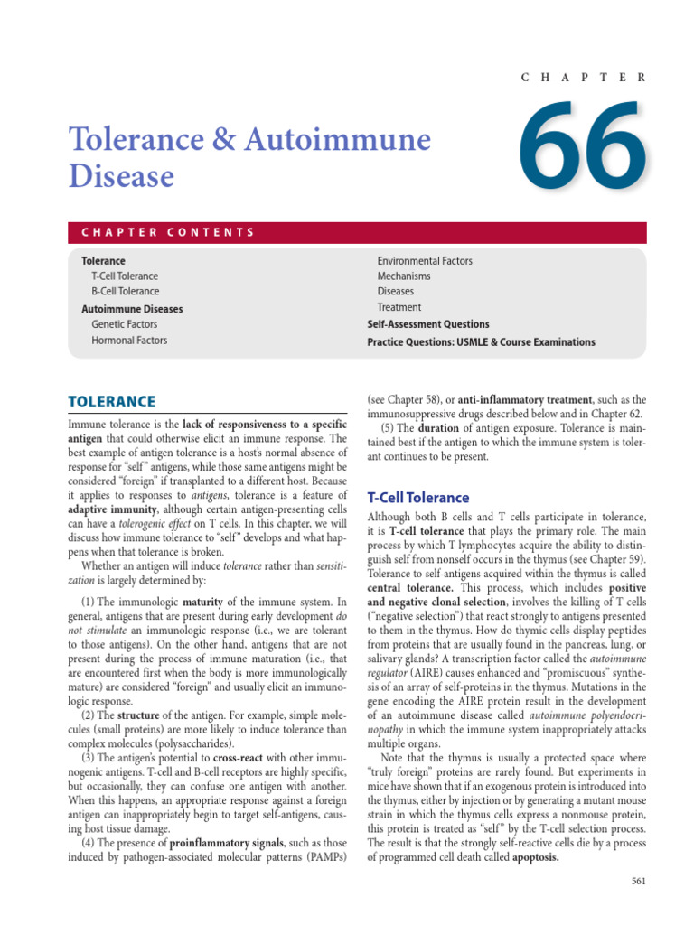Tolerance and Autoimmmunity | PDF | Immune Tolerance | T Cell