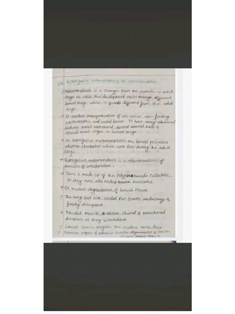 Retrogressive Metamorphosis in Urochordata 2 | PDF