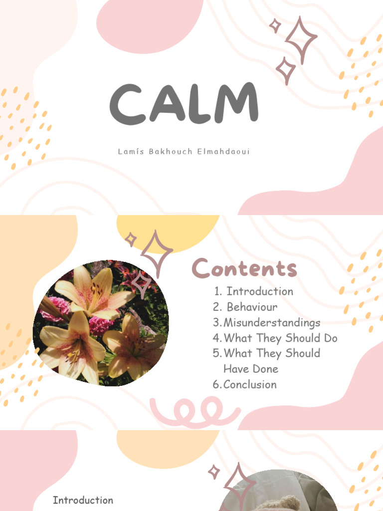 CALM Presentation LAMIS | PDF