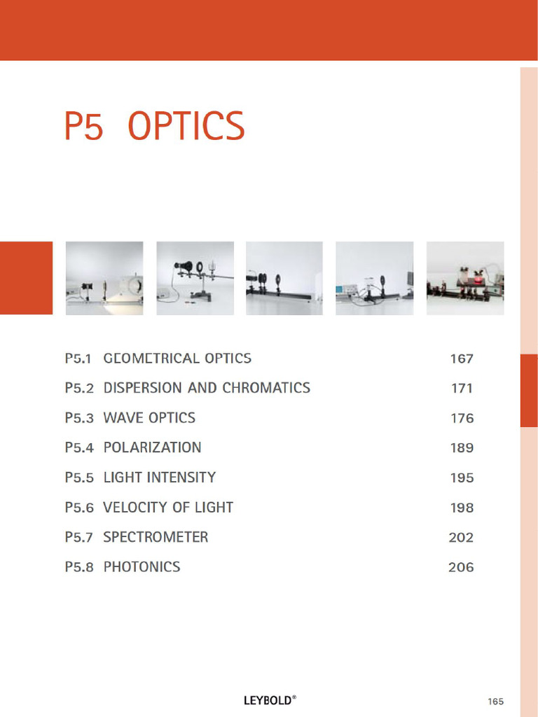 P5 | PDF