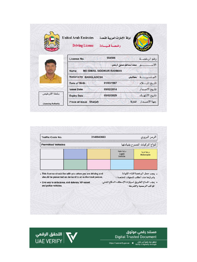 Driving License | PDF