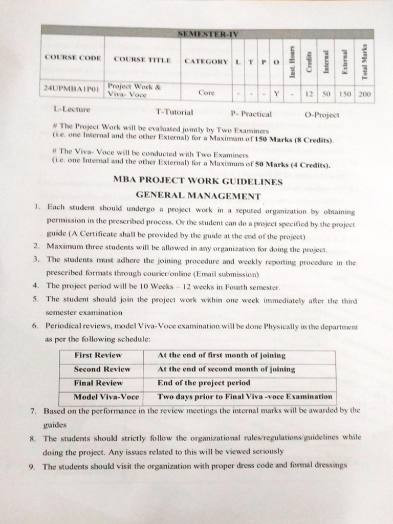 MBA Project Guidelines | PDF