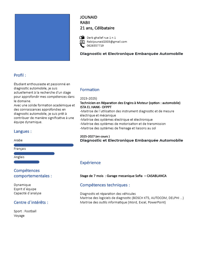 Copie de CV | PDF