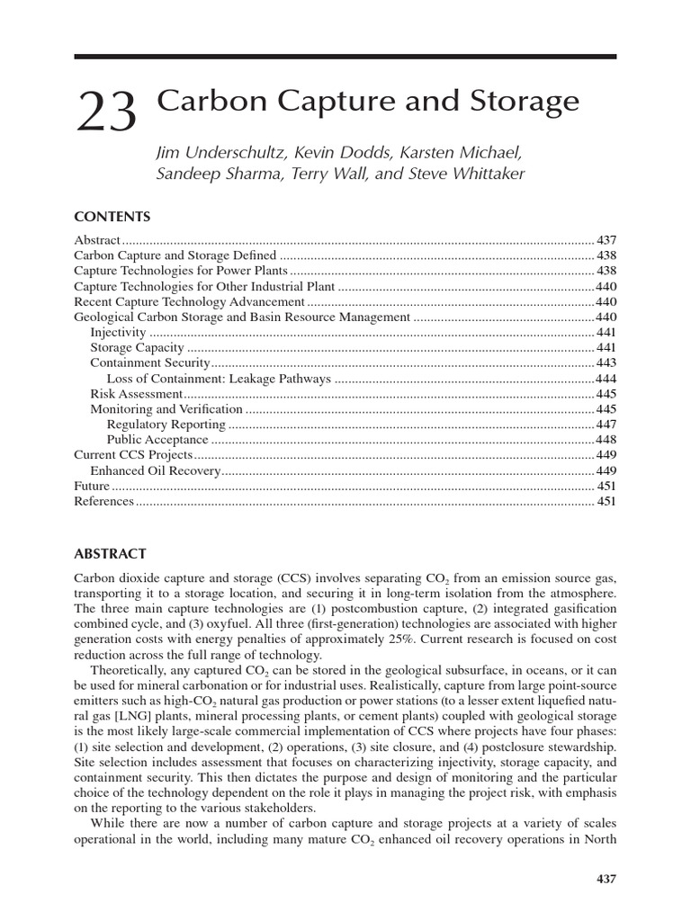 Carbon Capture and Storage Chapter | PDF | Carbon Capture And Storage ...