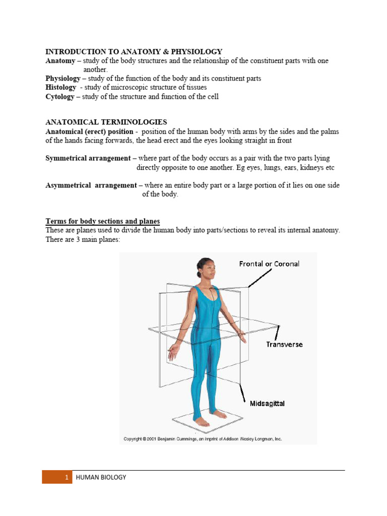 Human Biology Notes | PDF | Coagulation | Human Body