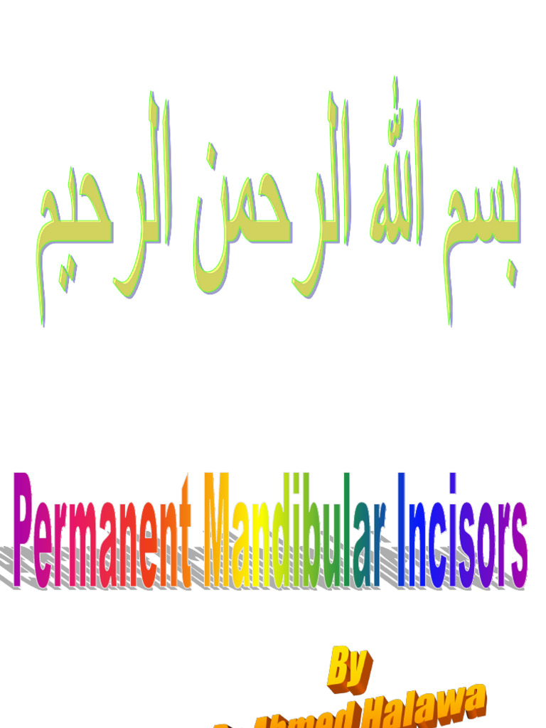 Permanent Mandibular First Incisors | PDF | Dental Anatomy | Dentistry