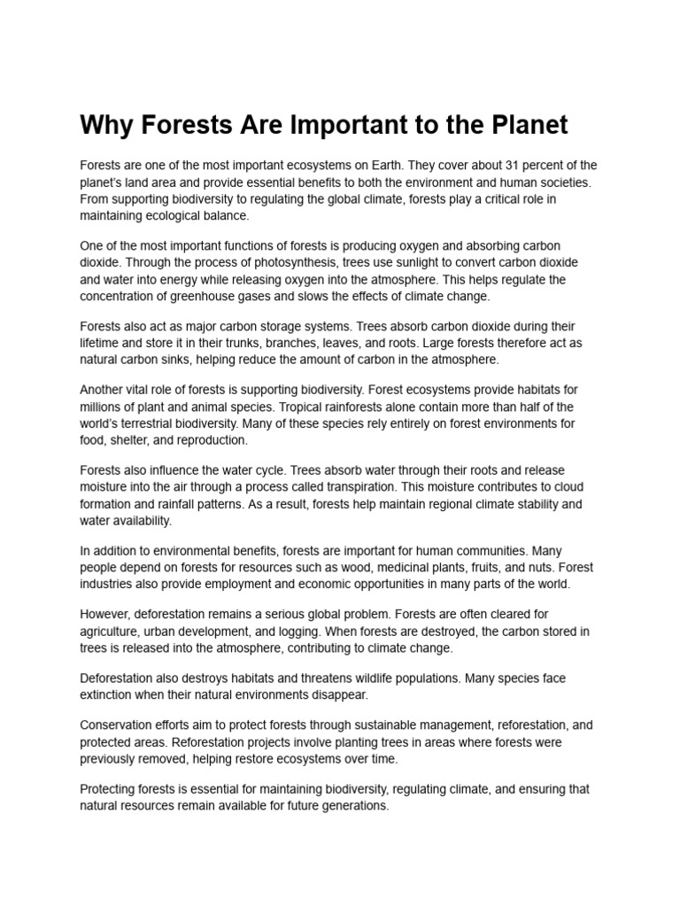 Why Forests Are Important To Every Culture | PDF | Forests | Climate Change