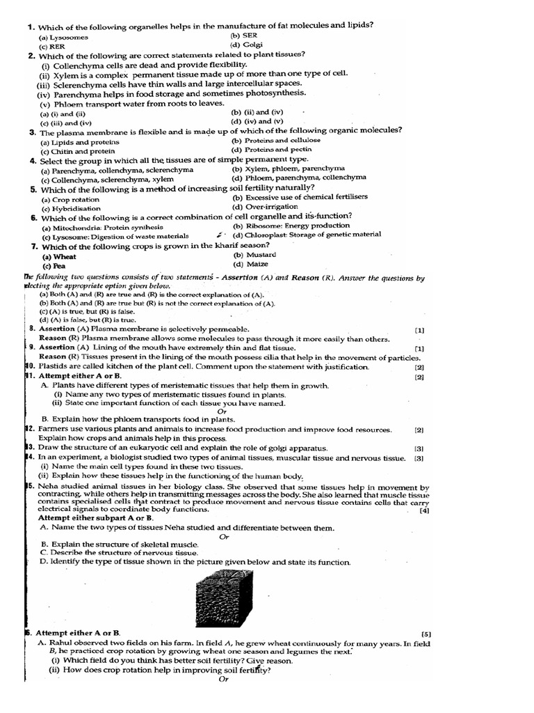 Science Sample Paper9 - 1 | PDF