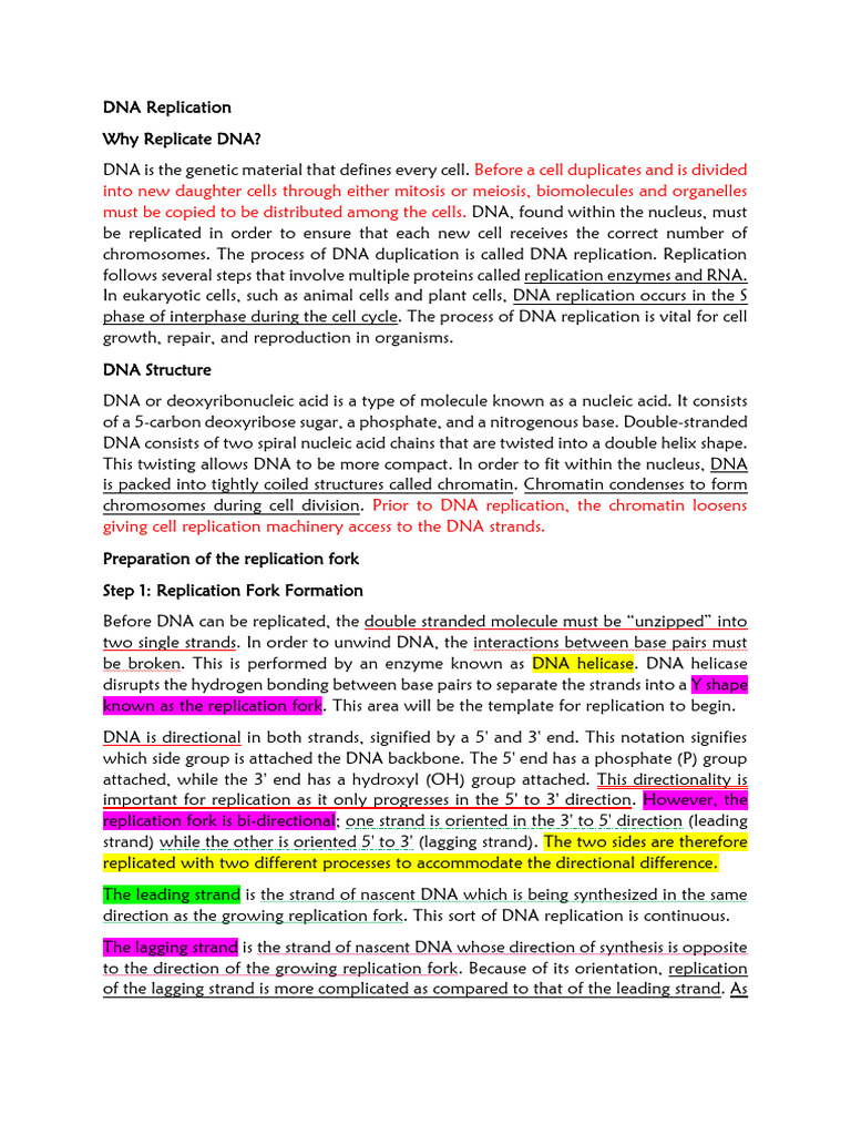 Lecture 2 DNA and RNA | PDF | Dna Replication | Primer (Molecular Biology)