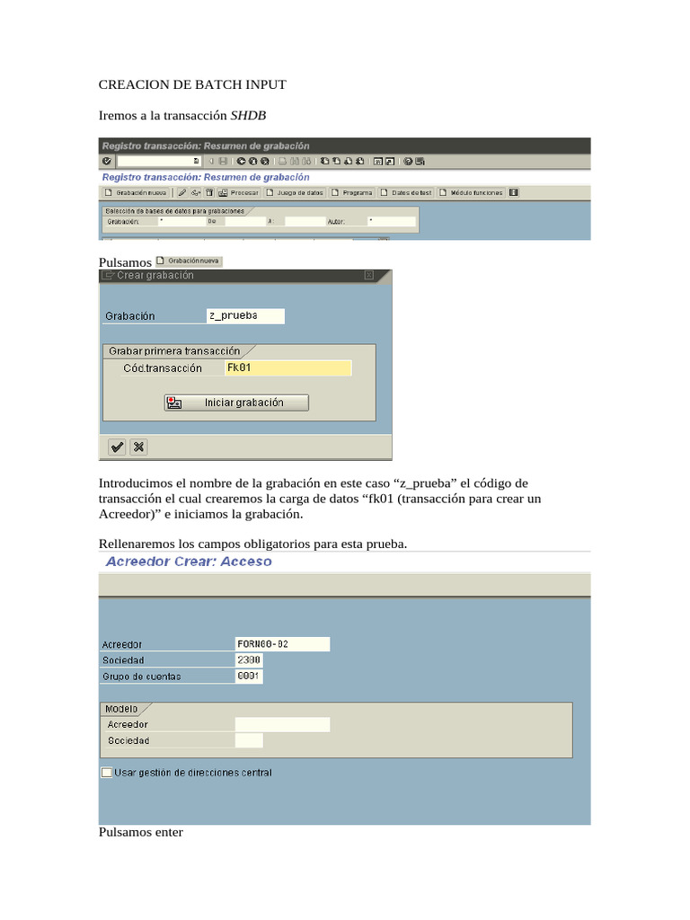 Creacion de Batch Input | PDF | Informática | Ingeniería de software