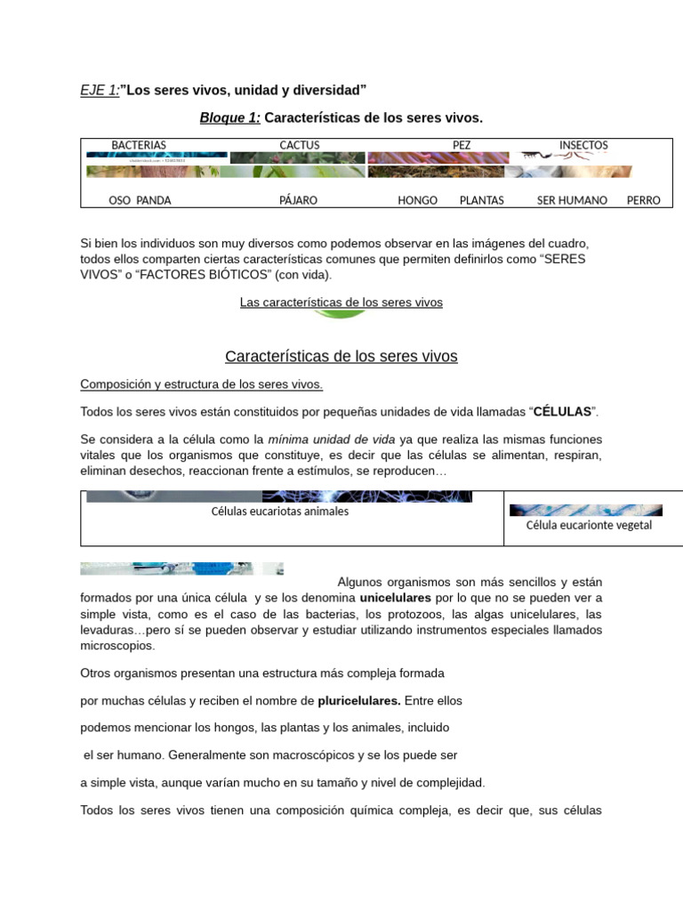 Características de Los Seres Vivos (1) 2 de Abril | PDF | Organismos ...