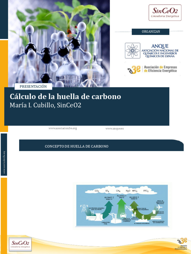 María Cubillo - Cálculo de La Huella de Carbono | PDF | Huella de ...