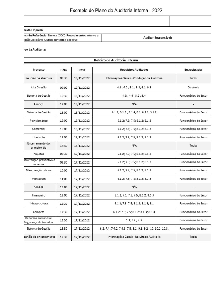 Modelo de Plano de Auditoria Interna | PDF
