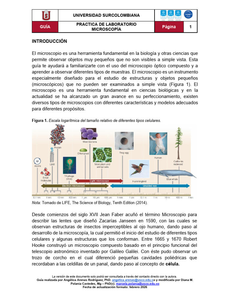 Guía 1. Biología Celular. Microscopía 2026-1 | PDF | Microscopio | Óptica