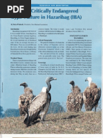 Vulture Conservation Hazaribag