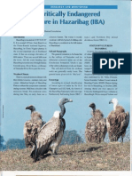 Vulture Conservation Hazaribag