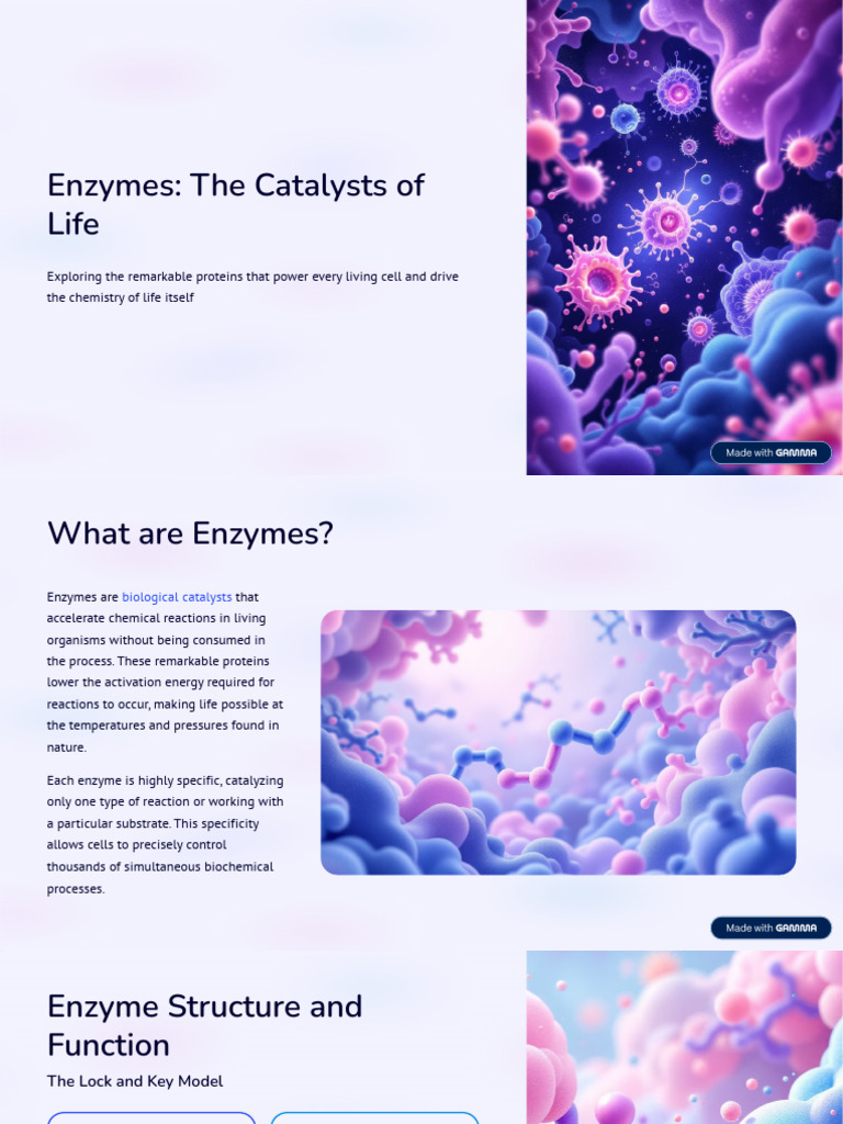 Enzymes The Catalysts of Life | PDF | Enzyme | Enzyme Inhibitor