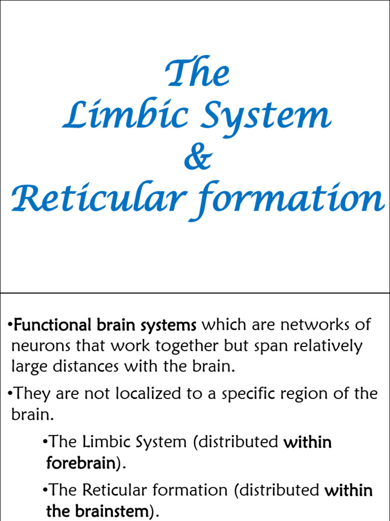 8.limbic System & Reticular Formation | PDF | Hippocampus Anatomy ...
