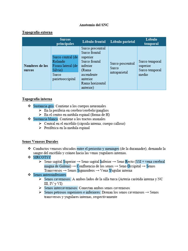 Guía 1 Anatomía Del SNC | PDF | Sistema nervioso central | Cerebelo