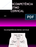 Incompetência Istmo Cervical