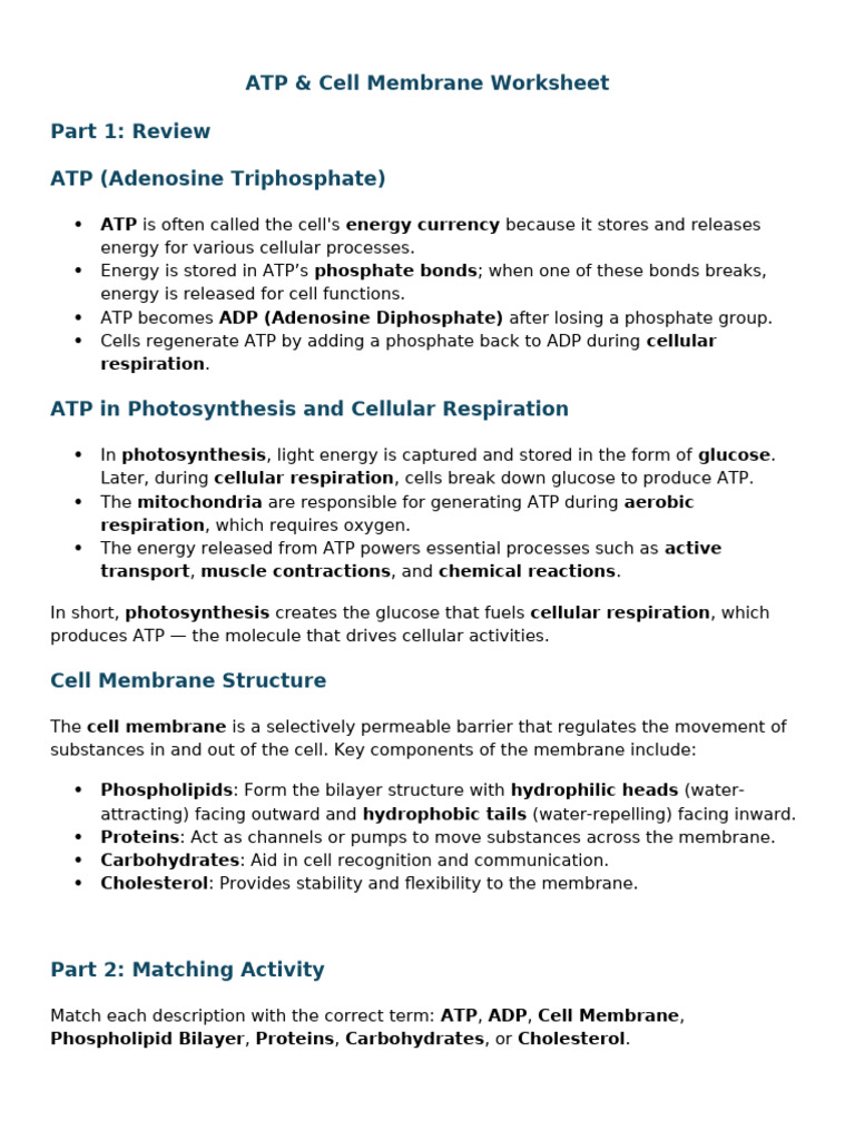 2.1 ATP & Cell Membrane 2 | PDF | Adenosine Triphosphate | Cell Membrane
