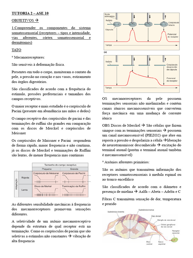 Tutoria 2 - Ase 10 | PDF | Sistema somatossensorial | Dor