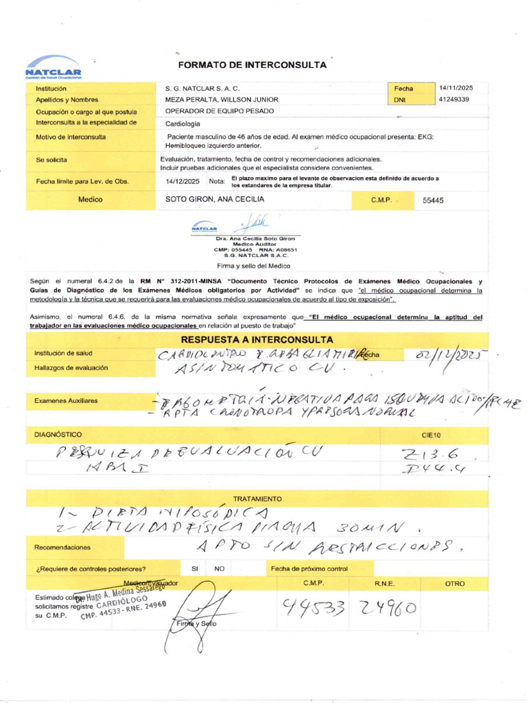 Formato Interconsulta | PDF