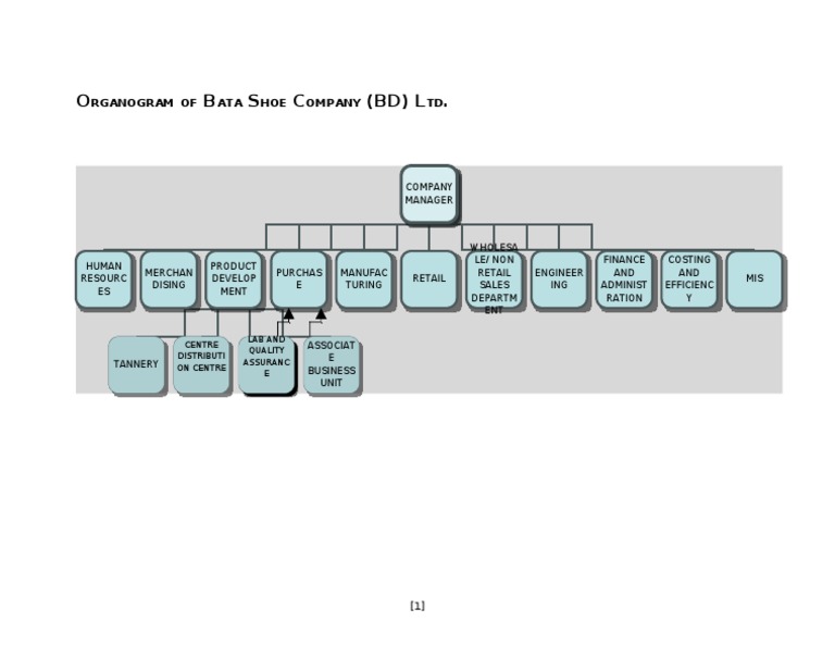 Organogram of Bata Shoe Company Retail Business