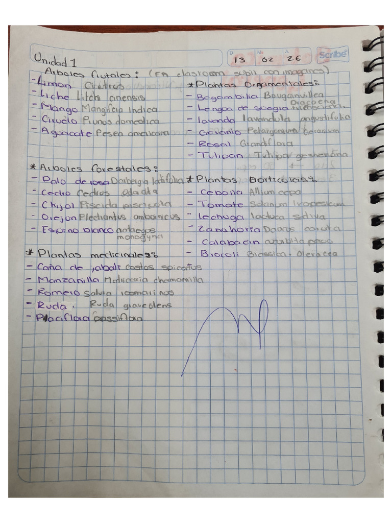 Apuntes y Ejercicio | PDF