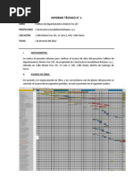INFORME TÉCNICO N 1 - MONTE FRIO (260612)