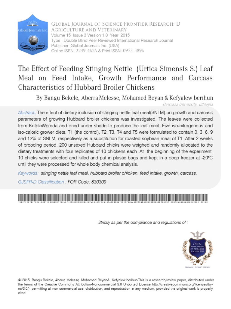 The Effect of Feeding Stinging Nettle (Urtica Simensis S.) Leaf | PDF ...