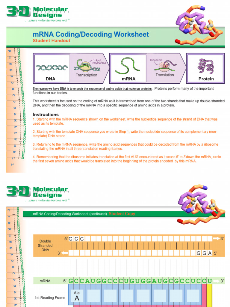 MRNA Coding Activity Color | PDF