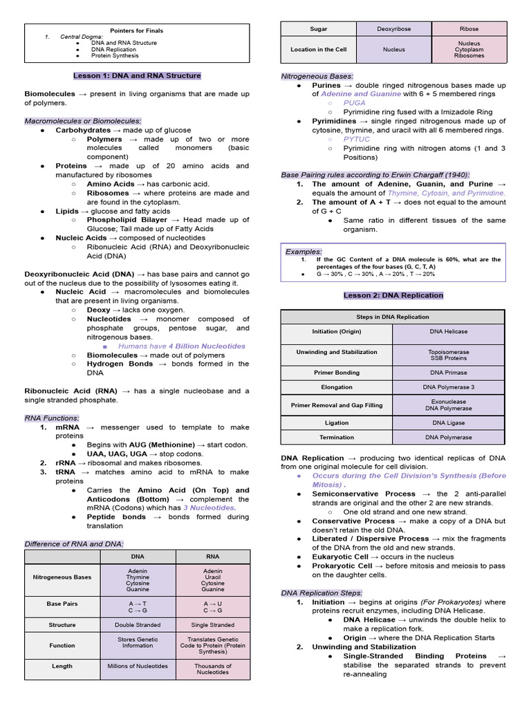 Biology DNA, RNA, and Protein Synthesis | PDF | Dna | Rna