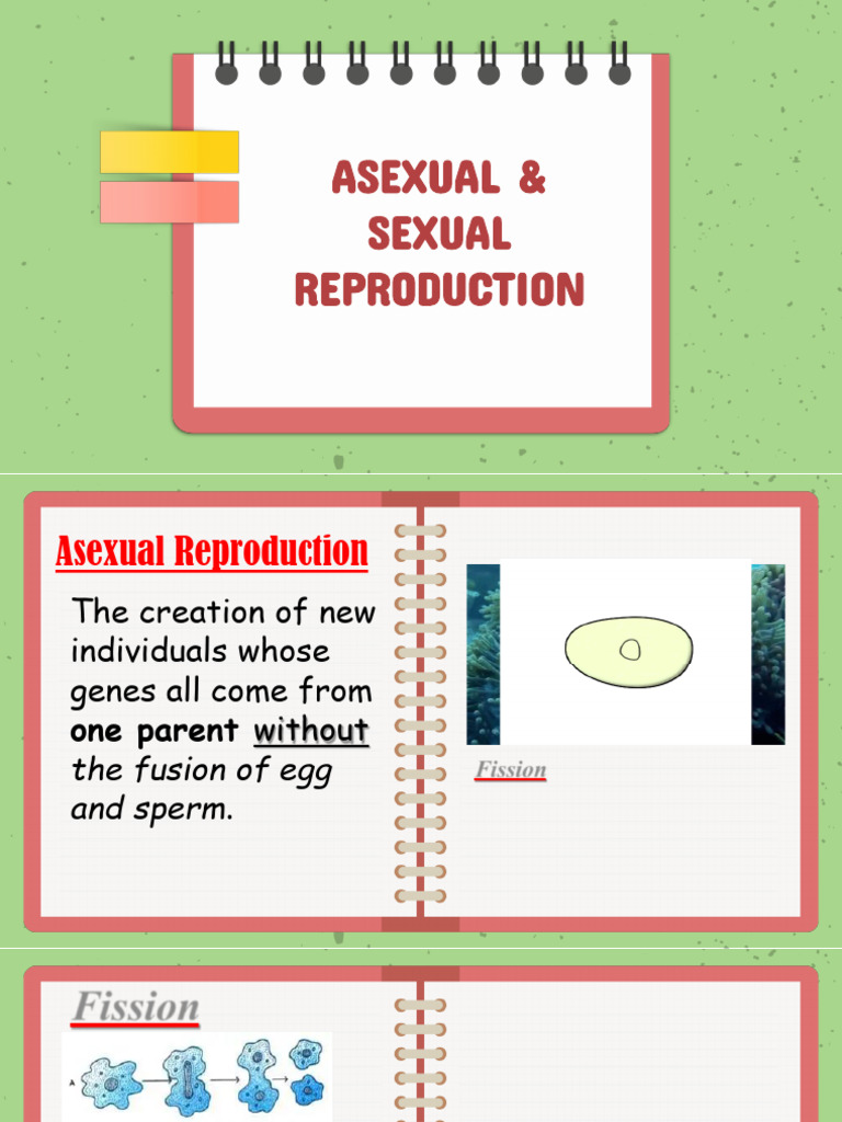 Q2 ELS 3 Perpetuation of Life | PDF | Sexual Reproduction | Fertilisation
