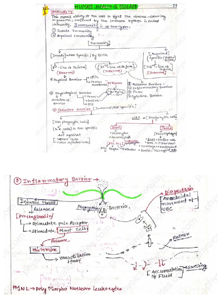 Human Health and Disease Notes | PDF