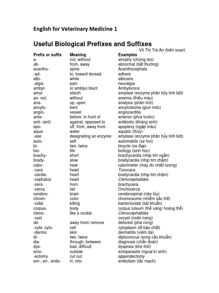 Useful Biological Prefixes and Suffixes | PDF