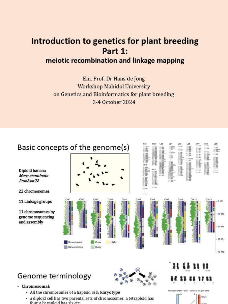 Introduction Genetics-HDJ | PDF | Genetic Linkage | Quantitative Trait ...