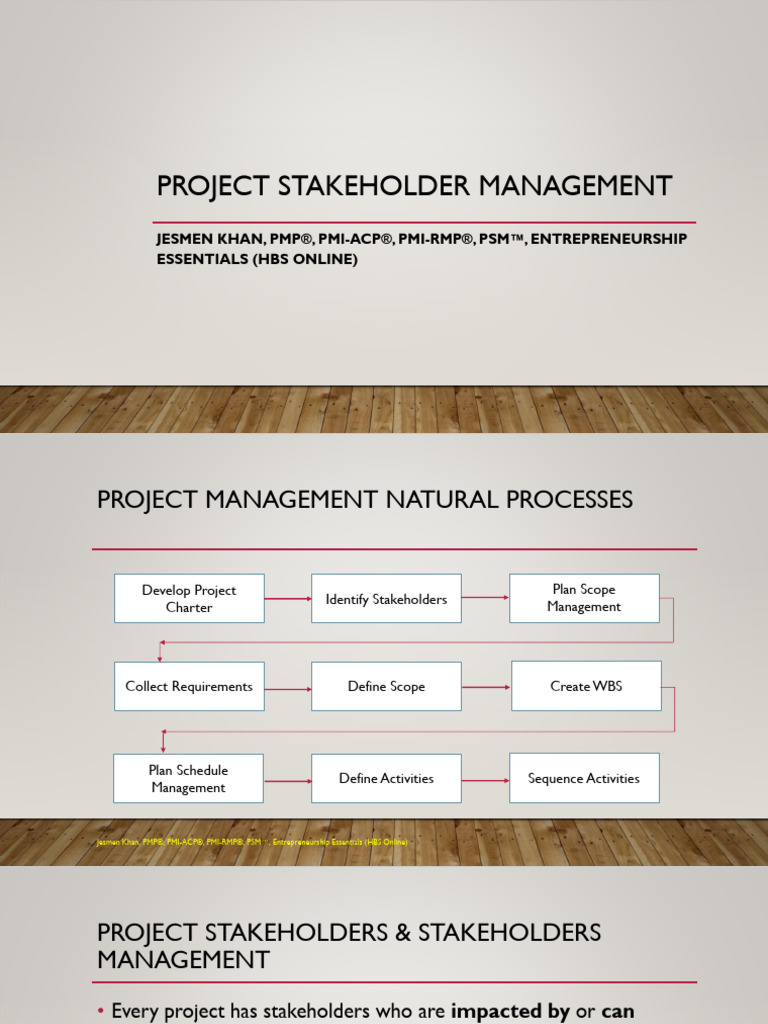 Project Stakeholder Management - Identify Stakeholders Process 13.1 ...